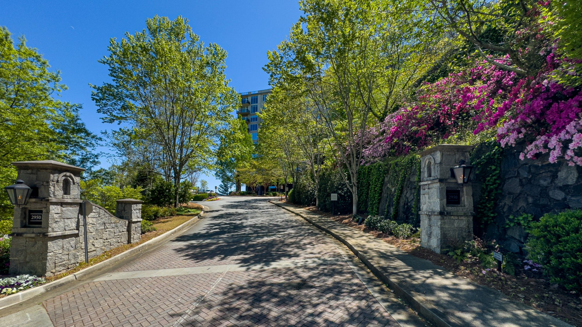 Tree-lined driveway